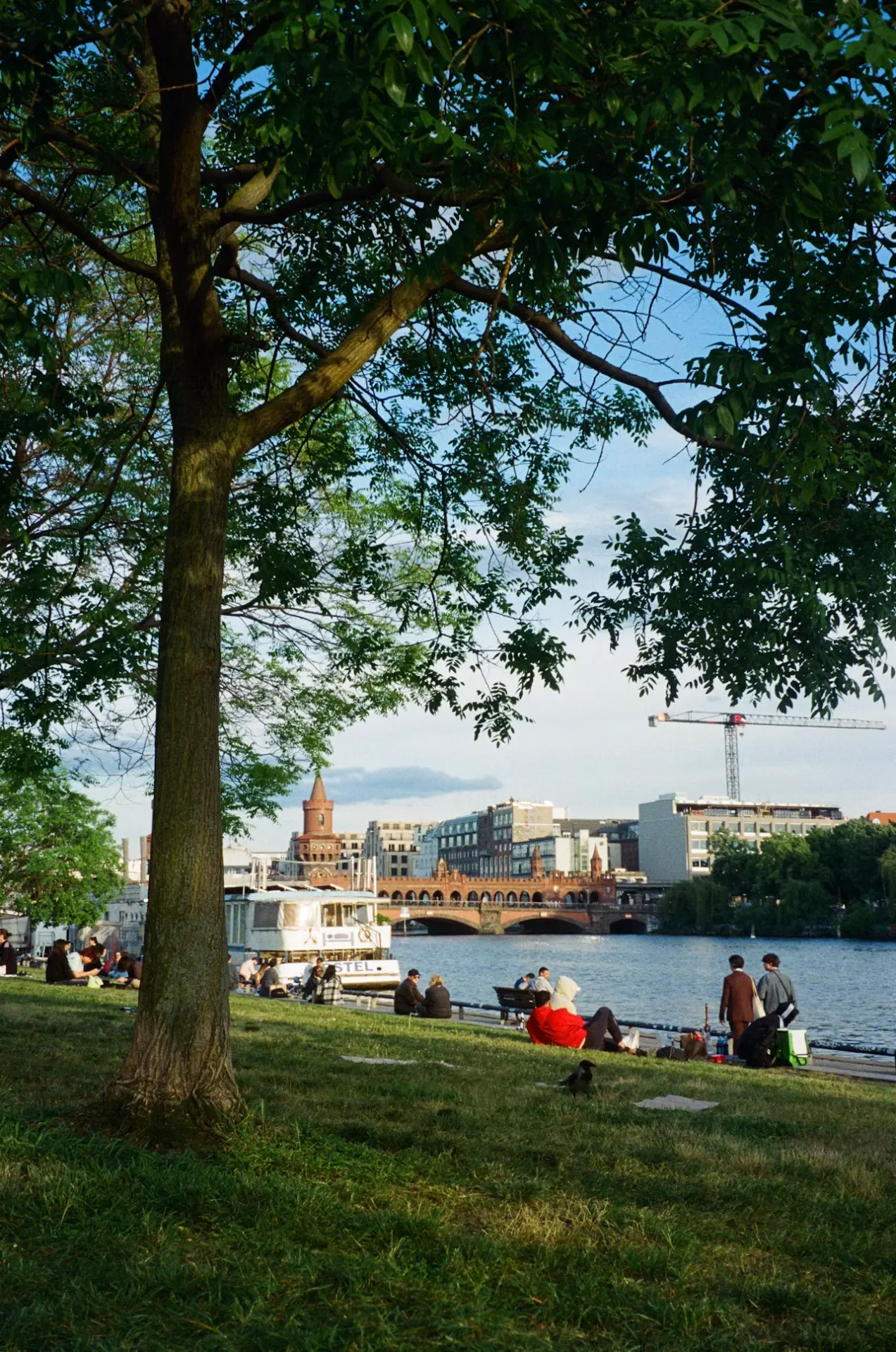 Vänner vid vattnet en sommarkväll